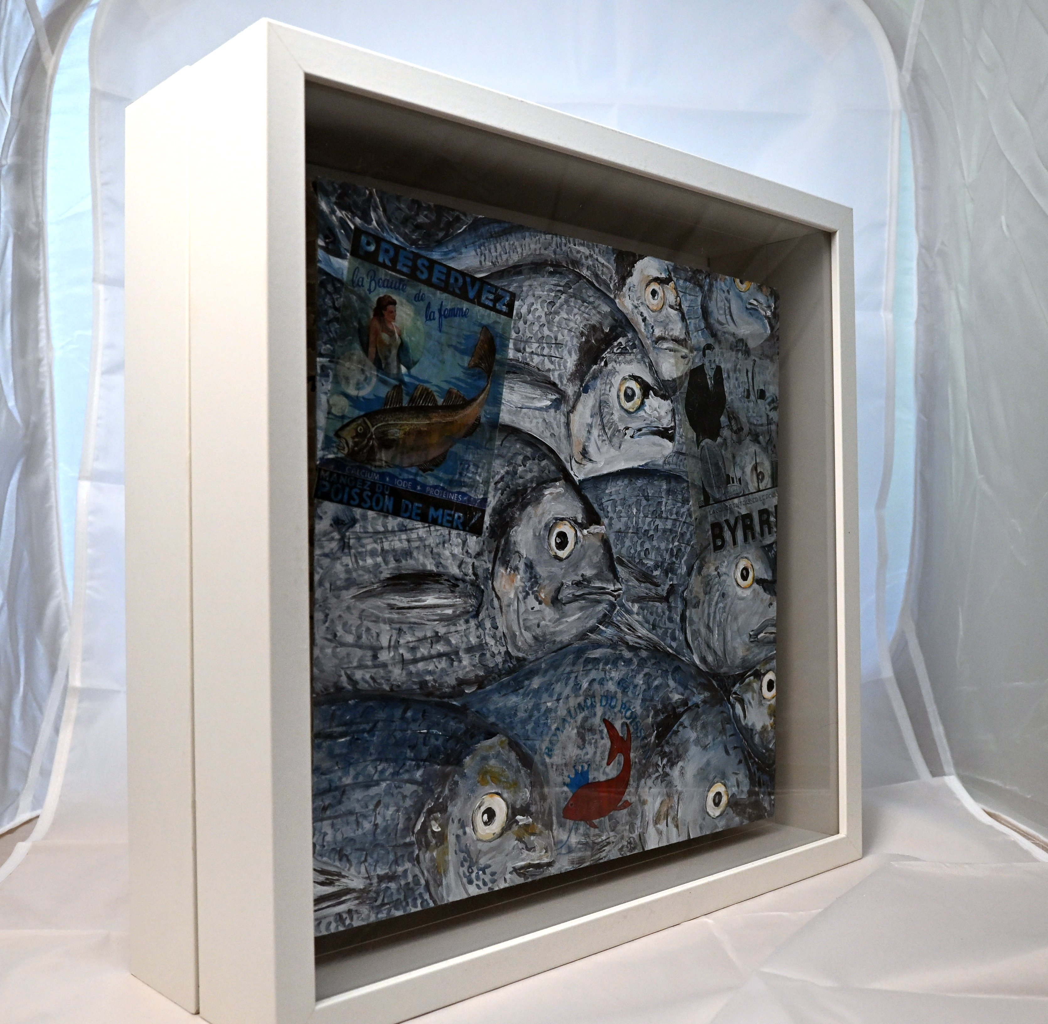 Schattenfuge hinter Glas zum Hängen oder Ausstellen (Seitenansicht)